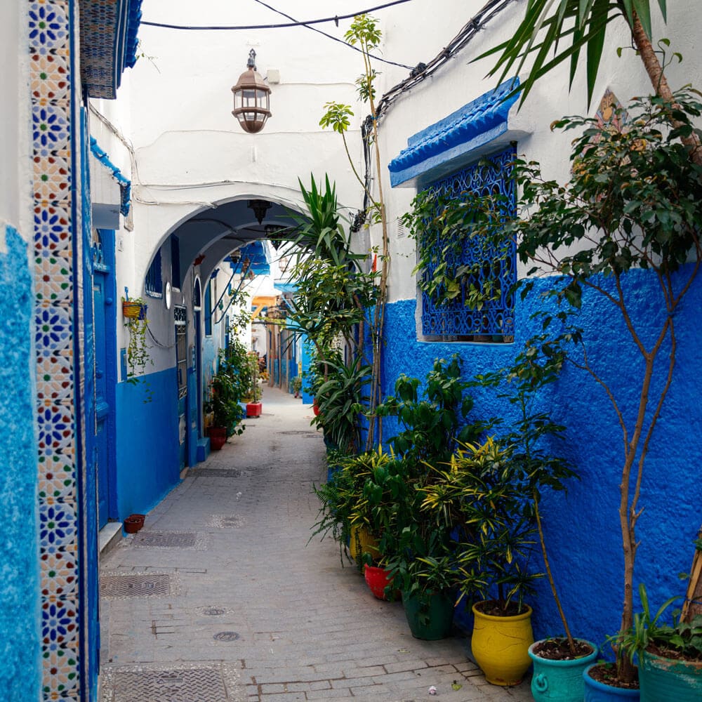Narrow alleyway with white and blue painted buildings, potted plants, arched doorways, and a hanging lantern overhead—perfect inspiration as you plan your luxury culinary or heritage trip to Morocco.