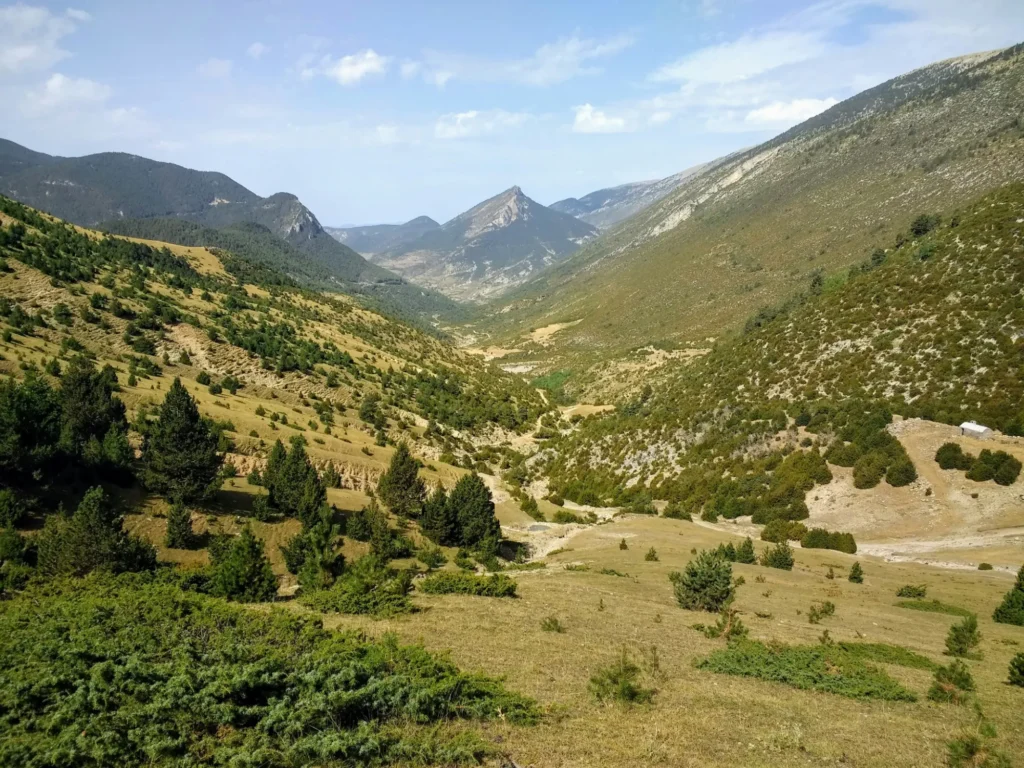 A wide mountain valley with scattered trees and shrubs, surrounded by green hills and distant peaks under a partly cloudy sky.
